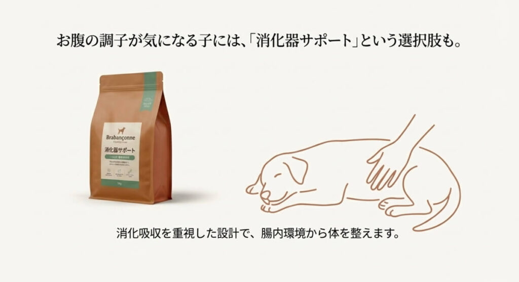 お腹の調子が気になる子向けの「消化器サポート」の紹介。消化吸収を重視した設計で腸内環境から体を整える説明