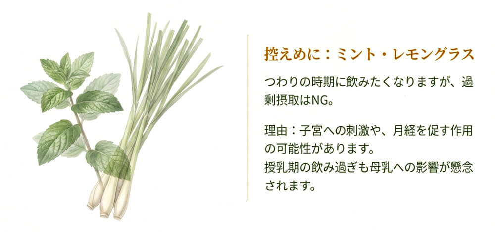 つわりの時期に飲みたくなるミントやレモングラスについてのイラスト